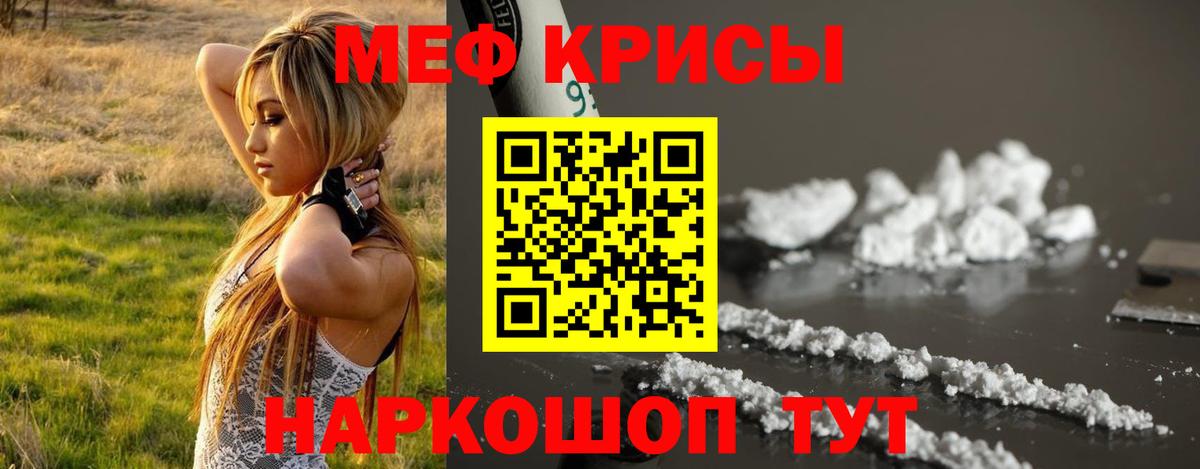 МЕФ Рязань
